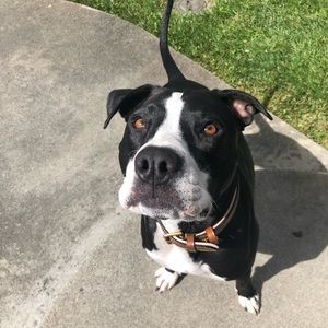 Meet your Posher, Kendall